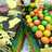 Rainbow cake kukus Ny.Liem