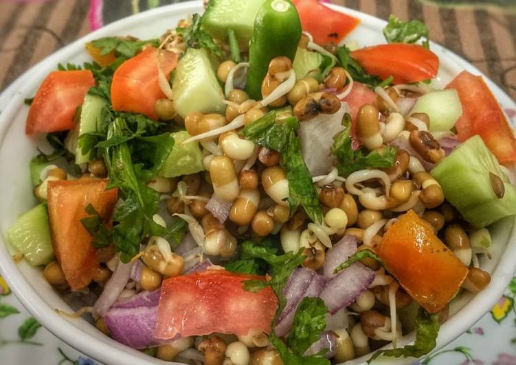 Step-by-Step Guide to Make Speedy Sprout&#39;s
