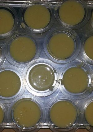 Foto resep Puding jagung susu
