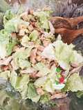 Salada de Frango
