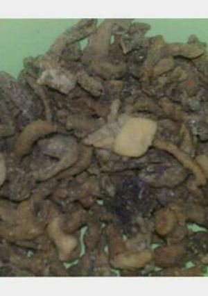 Foto resep Usus ayam krispi