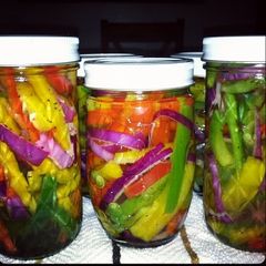 A picture of Irvixen's Pickled Bell Peppers.
