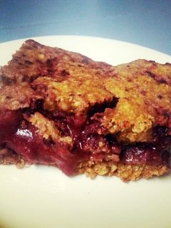 A picture of Healthy Strawberry & Blueberry Oatmeal Protein Bar.