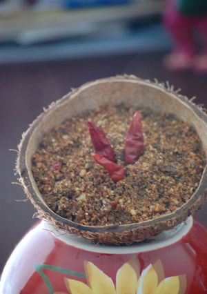 A picture of Kerala Chammanthi Podi.