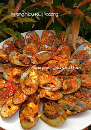 Foto resep Kerang hijau saus Padang