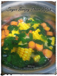Foto resep Sayur Bening Daun Katuk