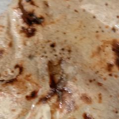 A picture of Bajra Roti.