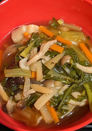 A picture of Gyoza Soup.