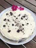 Keto - Cheesecake de Chocolate y moras