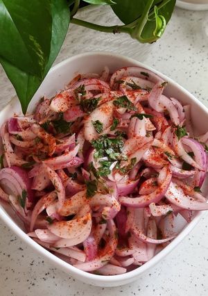 عکسی از دستور سالاد پیاز و سماق