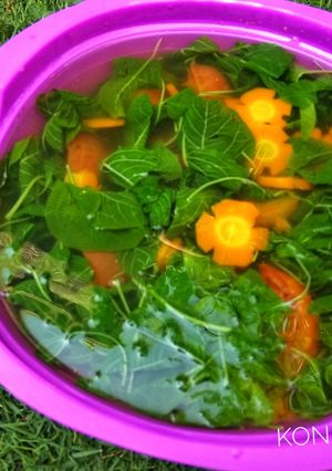Foto resep Sayur bayam wortel / sayur bening