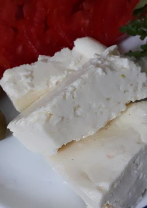 عکسی از دستور پنیر خانگی