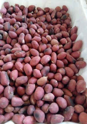 A picture of Roasted groundnuts.