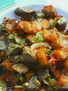 A picture of Liver dodo.