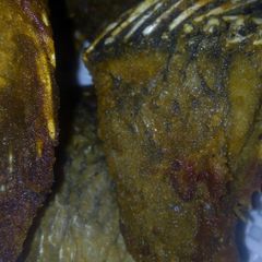 Crunchy fried fish A picture of Crunchy fried fish.