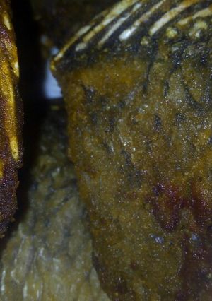A picture of Crunchy fried fish.