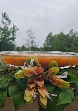 عکسی از دستور مارمالاد ازگیل