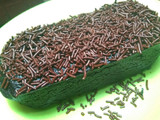 Bronis oreo no gagal