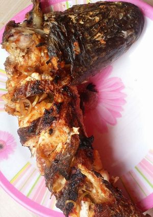 Hình của món Cá lóc nướng!.