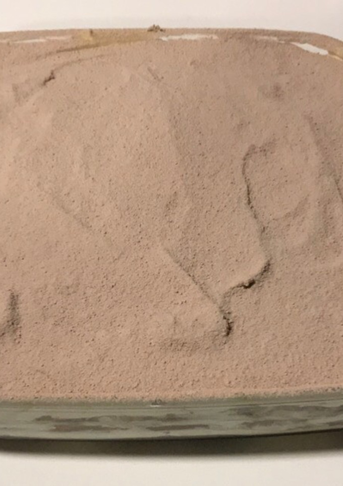 Una foto de Tiramisú