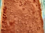 Una foto di tiramisù limone