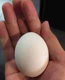 Trứng luộc lòng đào