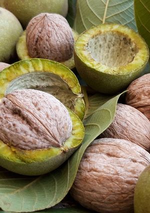 صورة لوصفة طريقة حفظ الجوز الاخضر واليابس مدة سنة كاملة 🥰