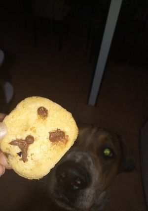 Una foto de Galletitas o cookies de chip de chocolate 🍪💫