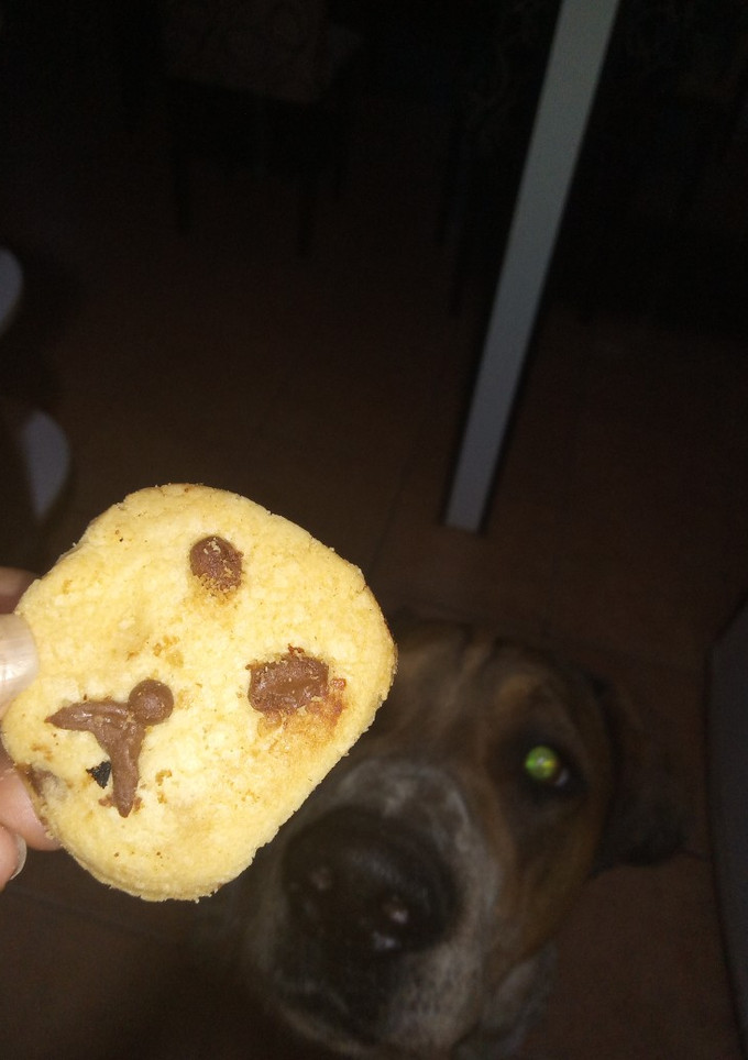 Una foto de Galletitas o cookies de chip de chocolate 🍪💫