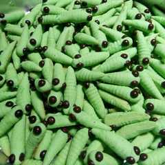 รูปของ Ulat cokies