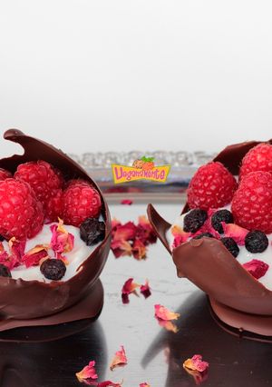 Foto principal de Copa de Chocolate rellena de Crema de Yogur