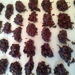 No Bake Coconut Pooh Balls A picture of No Bake Coconut Pooh Balls.