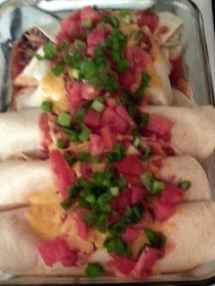 A picture of Rice and Bean Burritos.