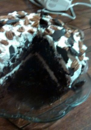A picture of Chocolate Praline Layer Cake.
