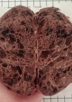 Foto resep Double Chocolate Sourdough Bread (86%)