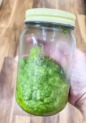 A picture of Fresh Basil Pesto 🌿.