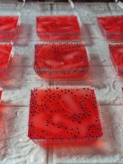 Foto resep Puding kopyor selasih