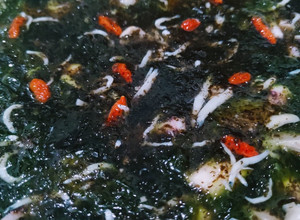 海菜綜合海鮮羹湯（糖尿病友善） 的食譜成品照片