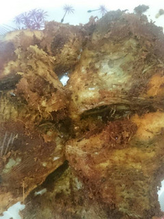 Foto resep Ikan nila goreng lengkuas