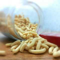 A picture of simple cheese stick.