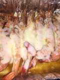 Cheesy Shrimps