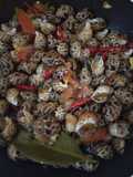 Siput macan saos tiram