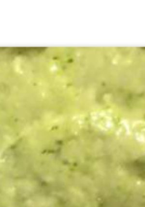 A picture of Avocado chutney.