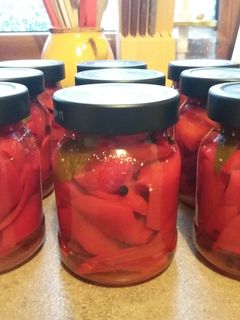 Paprika télire recept fotója