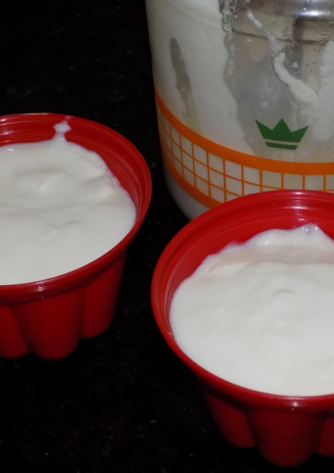 Una foto de Yogurt casero sin yogurtera