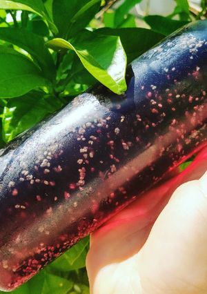 Une photo de Eau aux groseilles et graine de chia