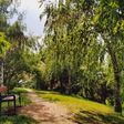 Piure