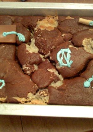 A picture of Earthquake Cake.