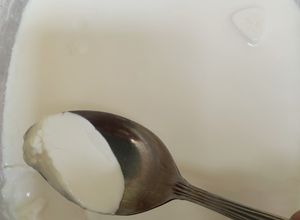 Foto resep Plain Yoghurt Homemade
