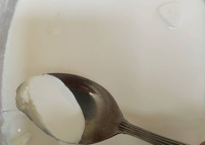Plain Yoghurt Homemade